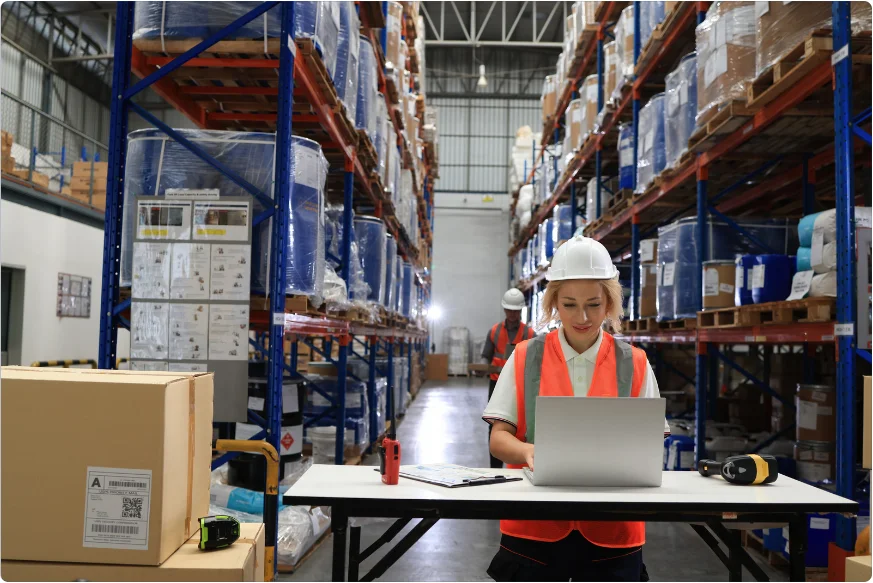Warehouse Assistant