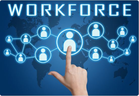 Dynamic Workforce Solutions in UK